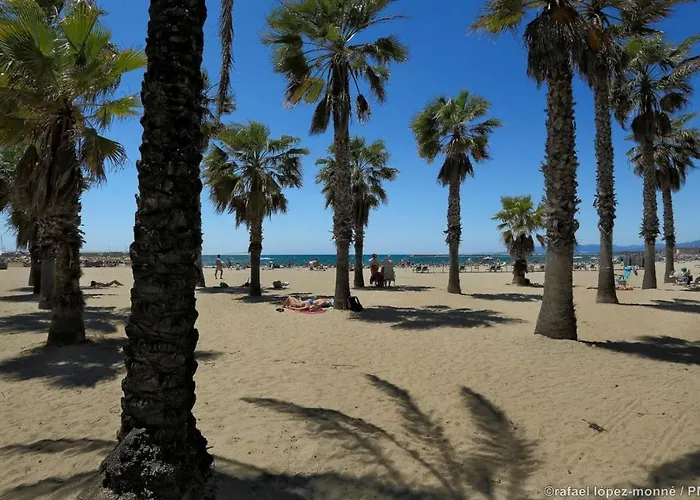 Zeus Alexis Lägenhet Salou