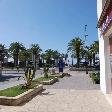 Zeus Alexis サロウ